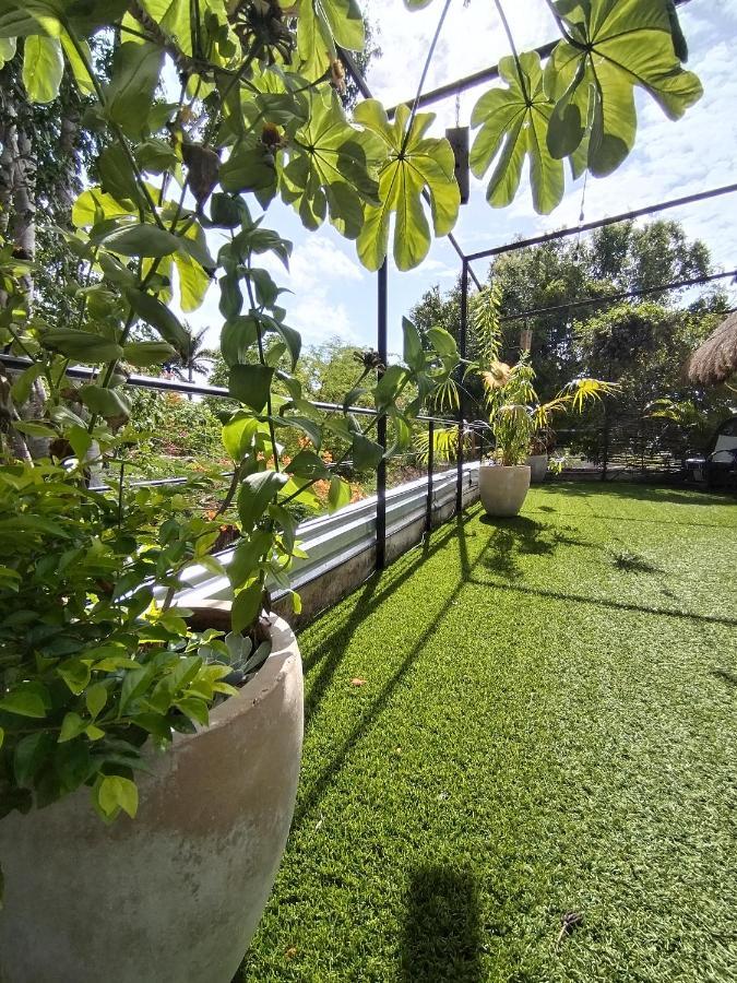 Hostel Casa Xtakay 巴利亚多利德 外观 照片