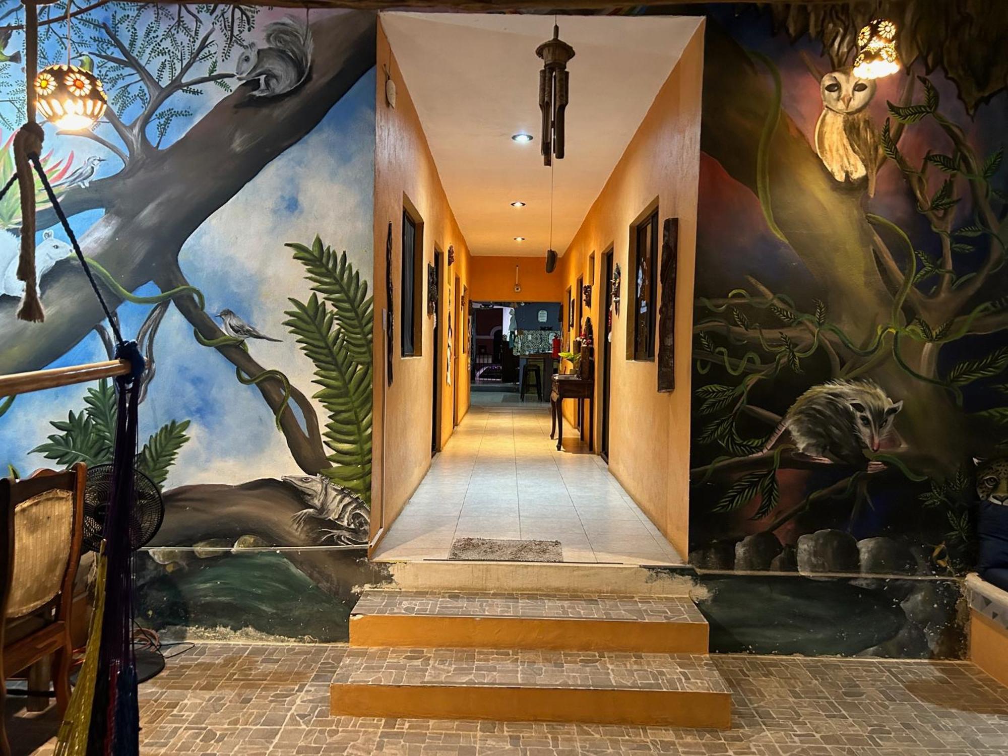 Hostel Casa Xtakay 巴利亚多利德 外观 照片