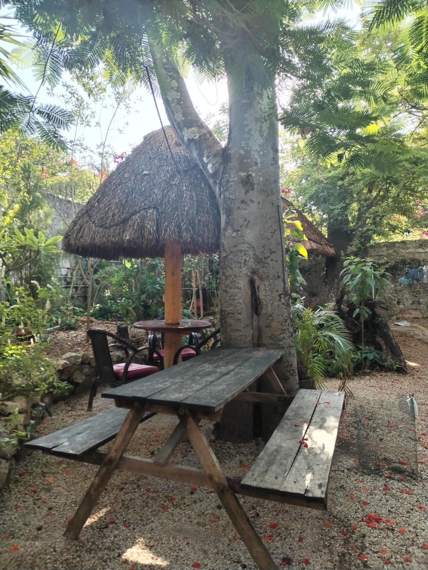 Hostel Casa Xtakay 巴利亚多利德 外观 照片